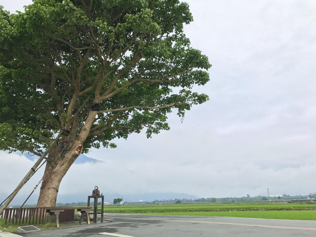 玉蟾園民宿 寵物友善 Yuchanyuan B&B Чишан Экстерьер фото