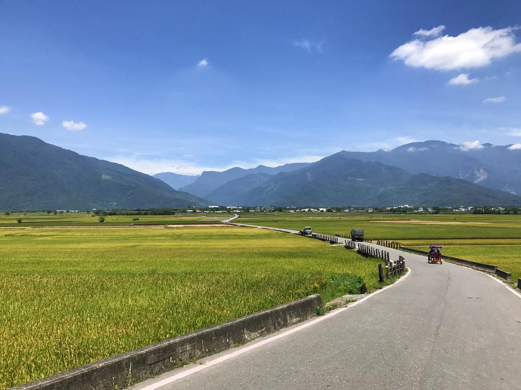 玉蟾園民宿 寵物友善 Yuchanyuan B&B Чишан Экстерьер фото
